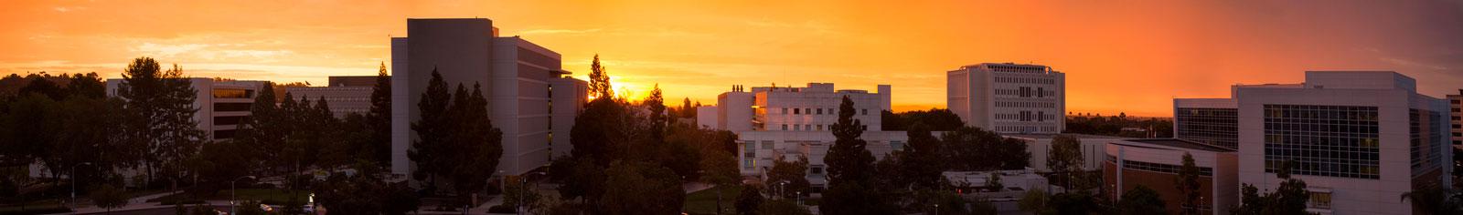 CSUF Sunset